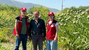Soma'da"Enginar yetiştiriciliğinin geliştirilmesi projesi"denetimi