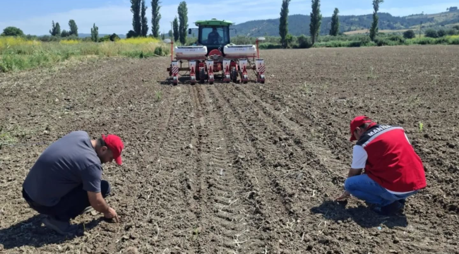 Soma'da "Yağlık Ayçiçeği" ekimi başladı