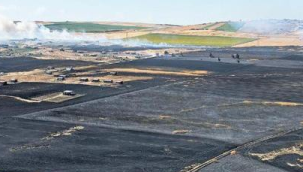 Tarım arazileri kül oldu! Şanlıurfa'da 14 kişi gözaltına alındı