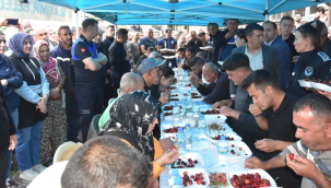 Yarışmada 2.5 kilo kiraz yedi yarım altını kaptı