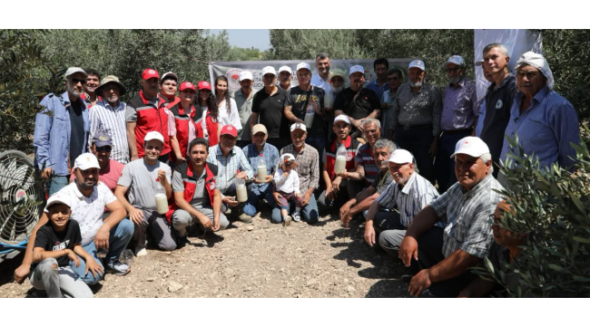 Zeytin Sineğine karşı 110 üreticiye, 2 litrelik pet şişe ve DAP gübresi desteği sağlandı