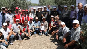 Zeytin Sineğine karşı 110 üreticiye, 2 litrelik pet şişe ve DAP gübresi desteği sağlandı