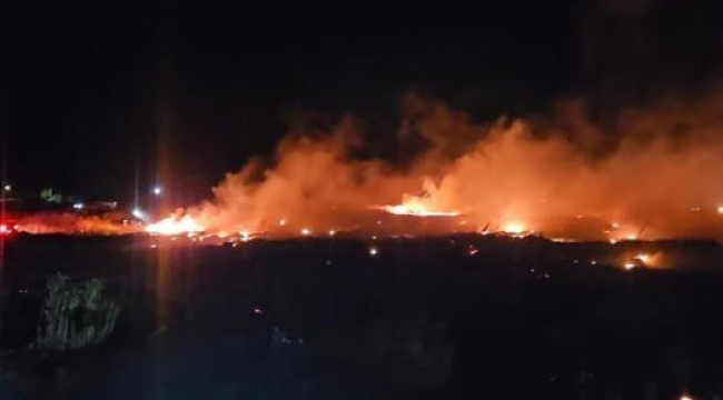 Zeytinlikleri tehdit eden yangın sürüyor