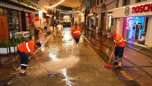 Ayvalık baştan aşağı yıkandı,ilaçlandı