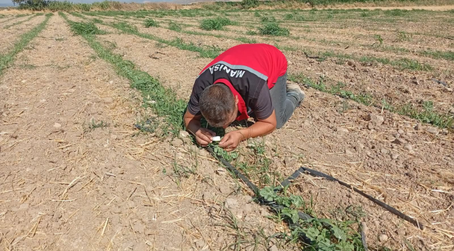 Ekipler sahada!Tarlalarda hastalık kotrolü