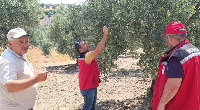 Ekipler üreticileri ceviz, zeytin ve kirazda görülen hastalıkla bilgilendirme toplantısı 