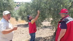Ekipler üreticileri ceviz, zeytin ve kirazda görülen hastalıkla bilgilendirme toplantısı 