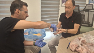 Gıda güvenliği için Manisa genelinde her yıl 1.000'in üzerinde numune alınıyor