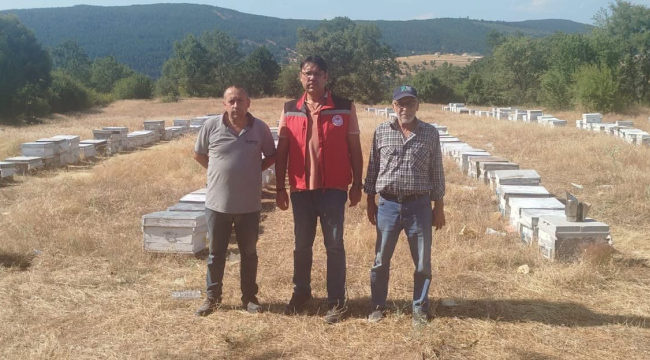 Gördes'te kovan tespit çalışmaları başladı