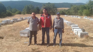Gördes'te kovan tespit çalışmaları başladı