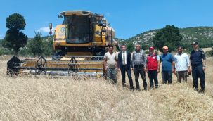 Hububat hasadında biçerdöver denetimleri sürüyor