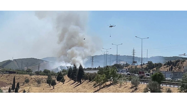 Otluk alanda başlayan yangın Bornova'da ormana sıçradı
