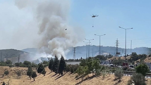 Otluk alanda başlayan yangın Bornova'da ormana sıçradı